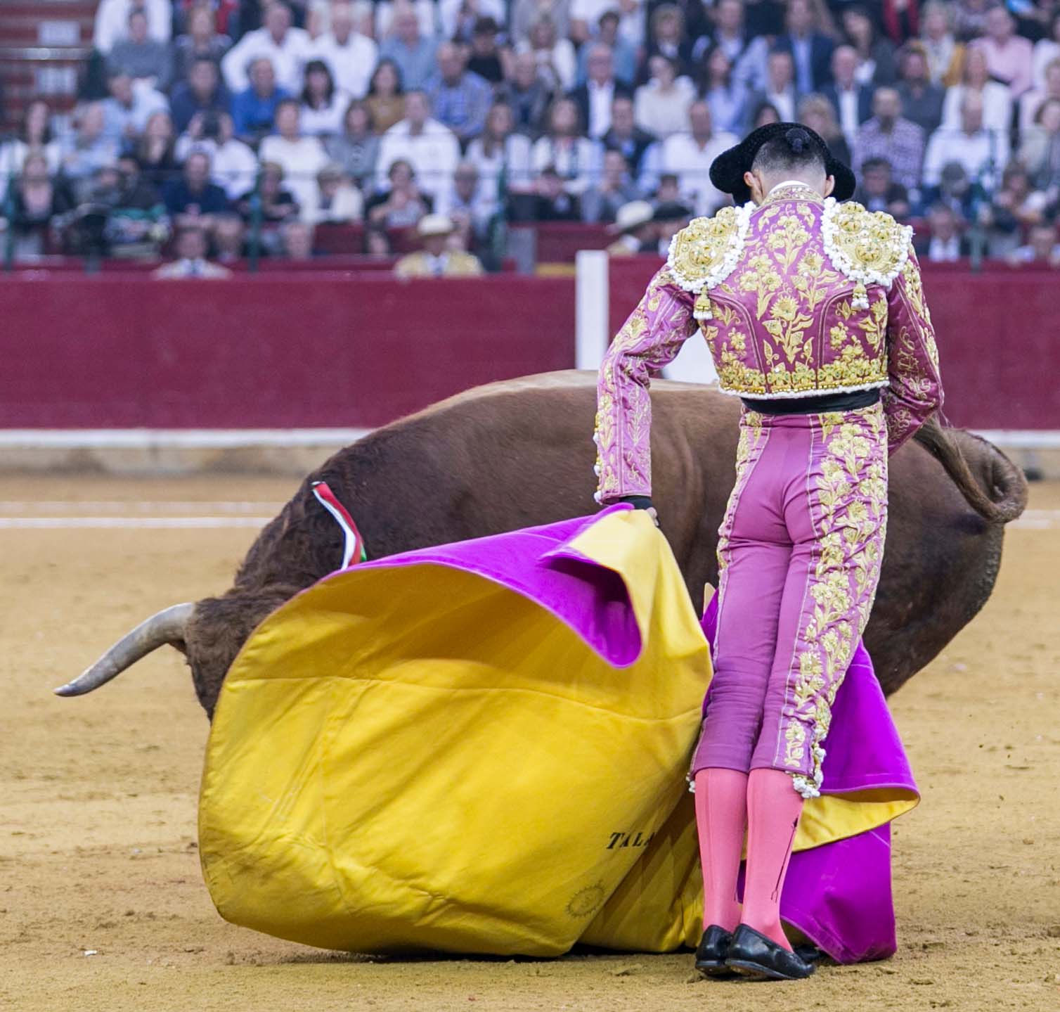 taquilla oficial entradas toros Zaragoza