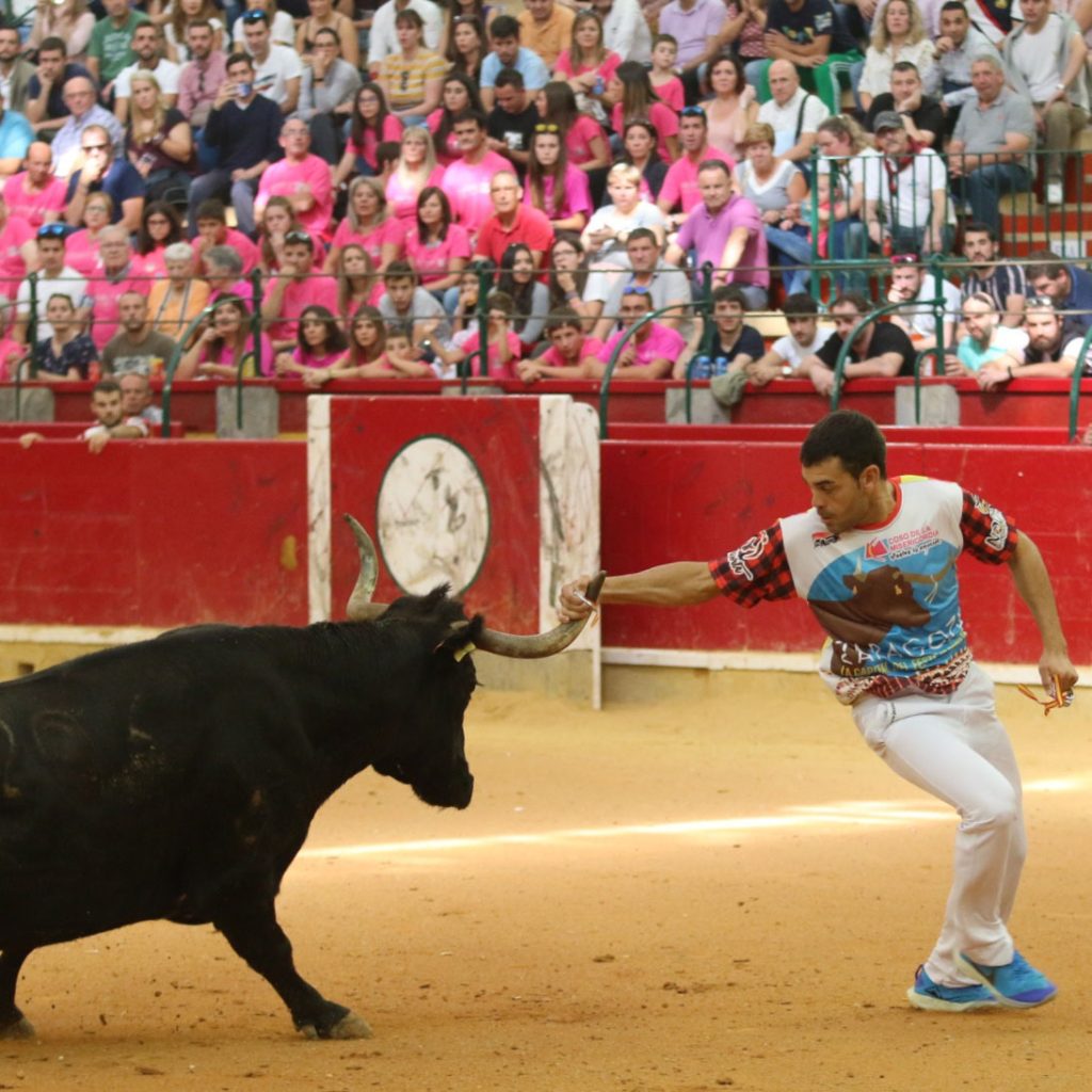 Espectáculo Popular Anillas - Plaza de toros de Zaragoza. La Misericordia