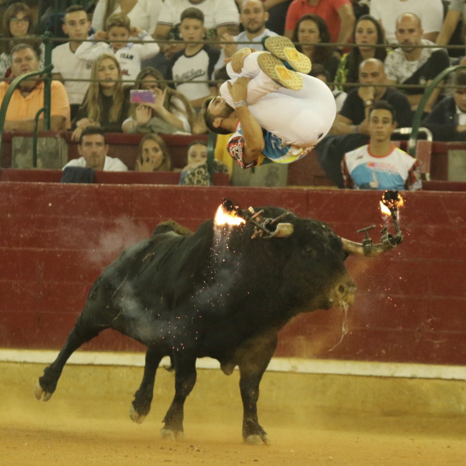 Espectáculo popular. Toros de Fuego