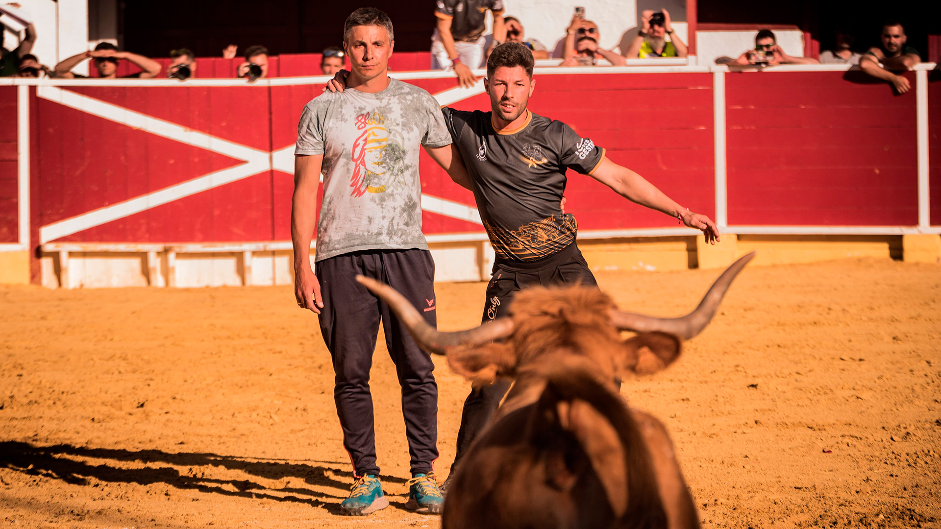 Feria del Pilar 2026 | Festejos Populares